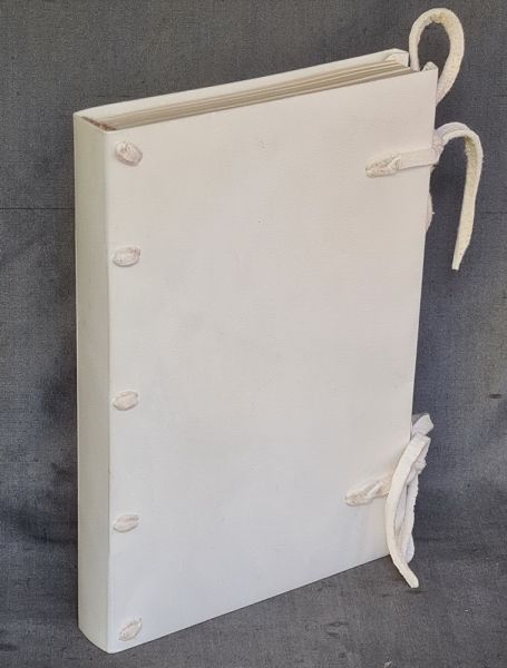 Vellum bound note book